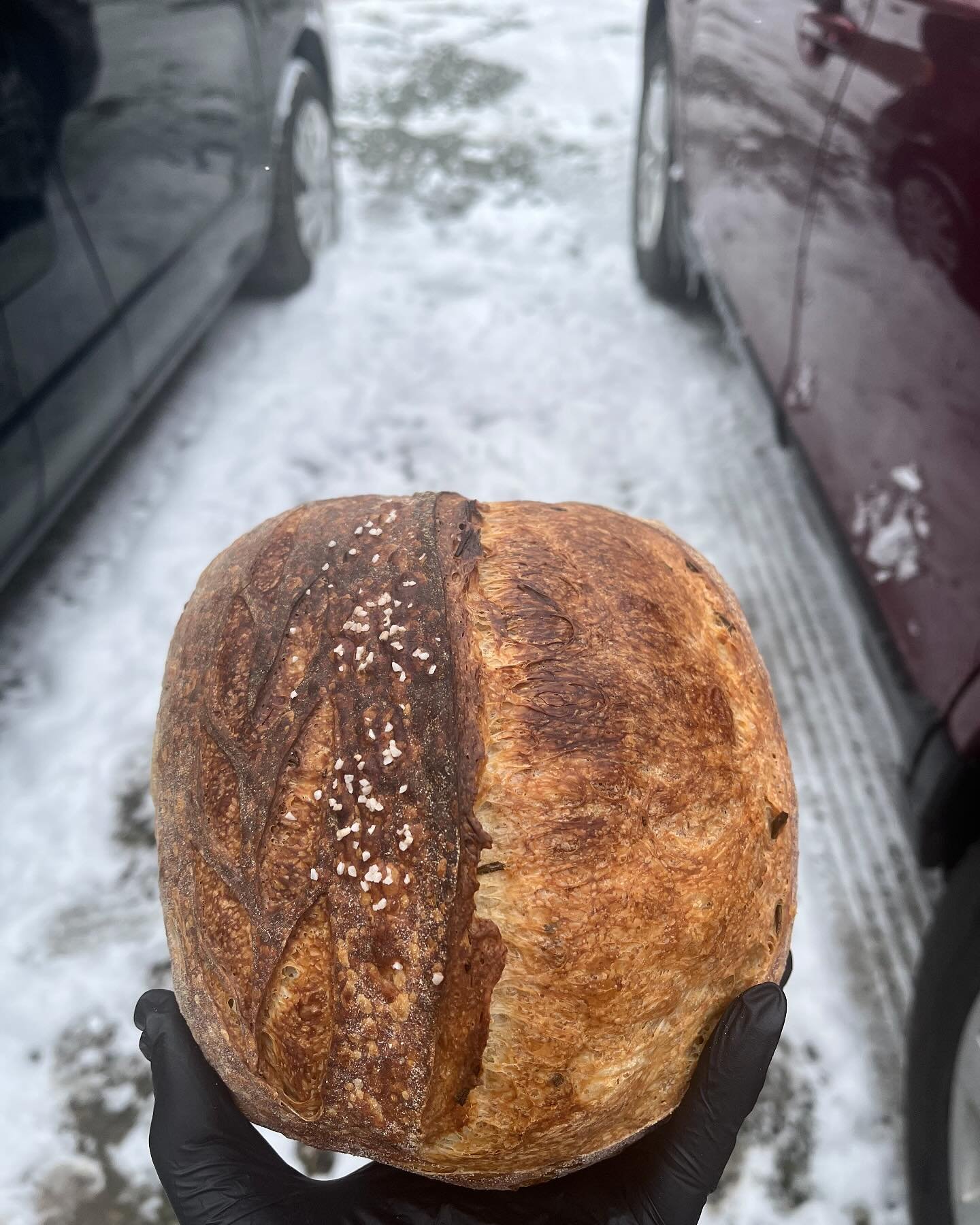 It will not be a snowy market this Saturday at the @chfarmersmarket 🎉  it will be beautiful and sweet, so we hope to see you! Oh yes: it&rsquo;s In A Pickle week this week (iykyk). Preordering opens tomorrow ❤️🦄
#sourbakerygraham