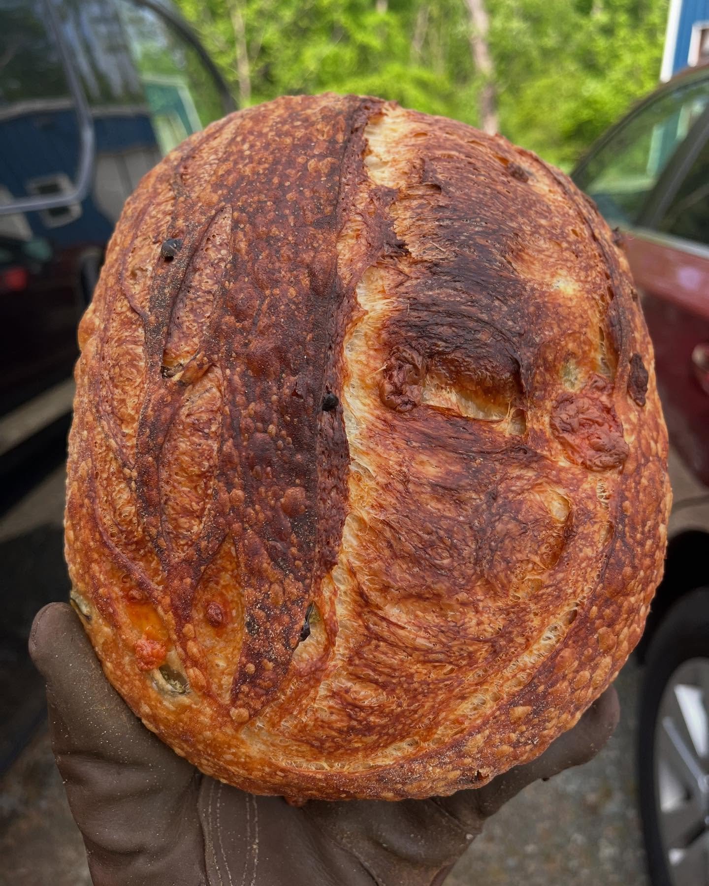 Very proud of our ferment this bake off. Loaves are huge and crusty! The specialty bread this week is our Jalape&ntilde;o Cheddar. Dropped off a variety at:
@steves_garden_market 
@saxgenstore 
@chatham_marketplace 
@gardenvalleyfarmersmarket 
Crack